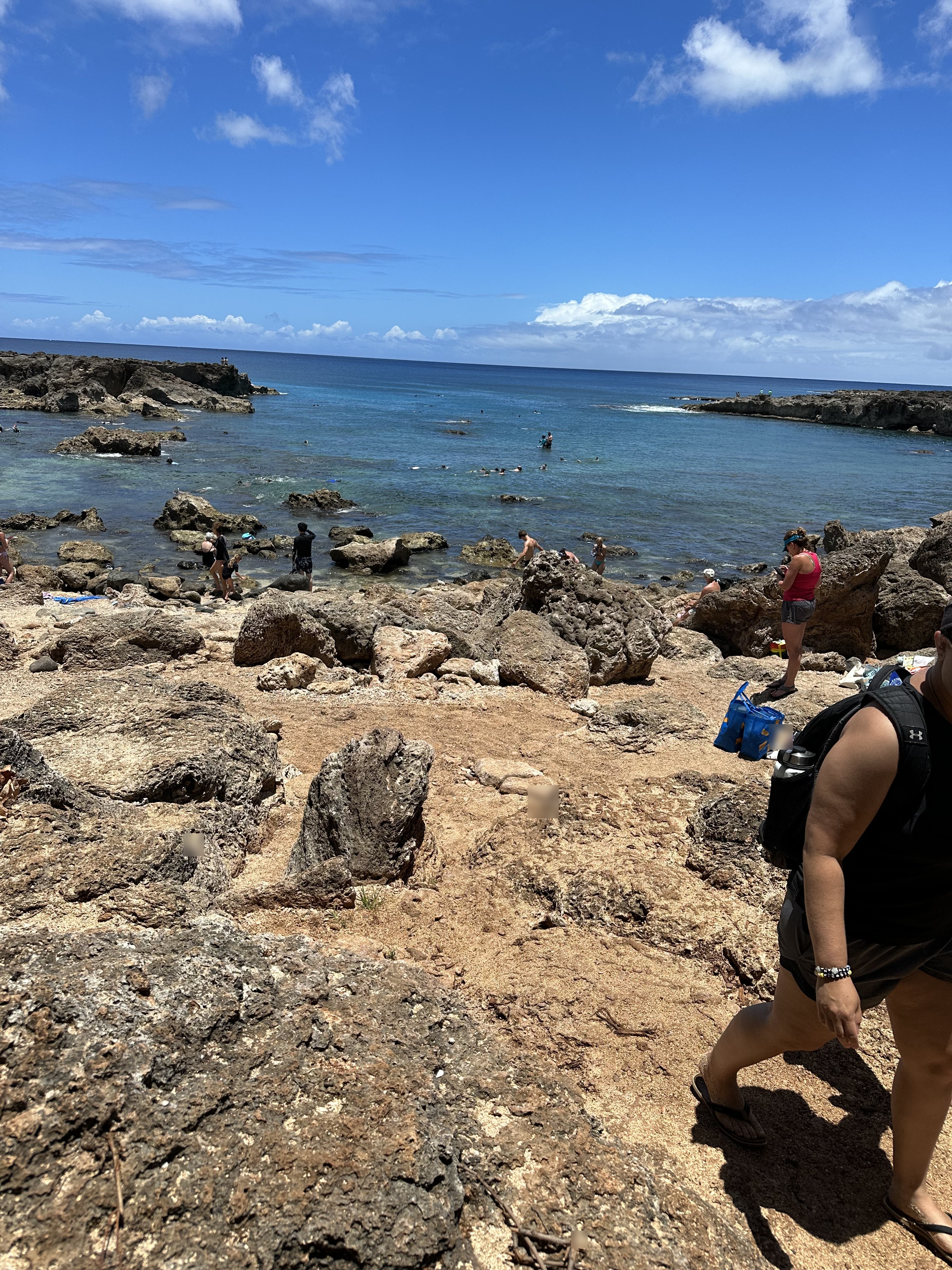 Snorkel Shark's Cove - Oahu, Hawaii